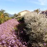 아파트 Taggiasca Con Piscina - Riva Trigoso *