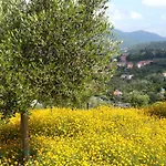 아파트 Taggiasca Con Piscina - Riva Trigoso *