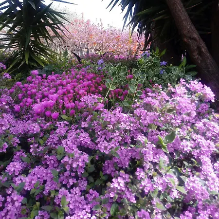 Taggiasca Con Piscina - Riva Trigoso Daire Sestri Levante