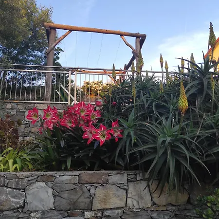 Apartamento Taggiasca Con Piscina - Riva Trigoso