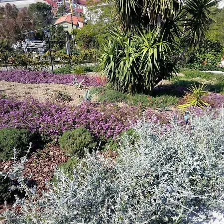 Daire Taggiasca Con Piscina - Riva Trigoso