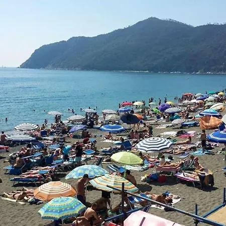 Taggiasca Con Piscina - Riva Trigoso *