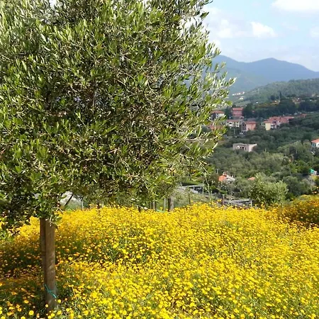 Apartment Taggiasca Con Piscina - Riva Trigoso *