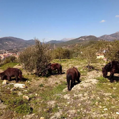 Taggiasca Con Piscina - Riva Trigoso Sestri Levante