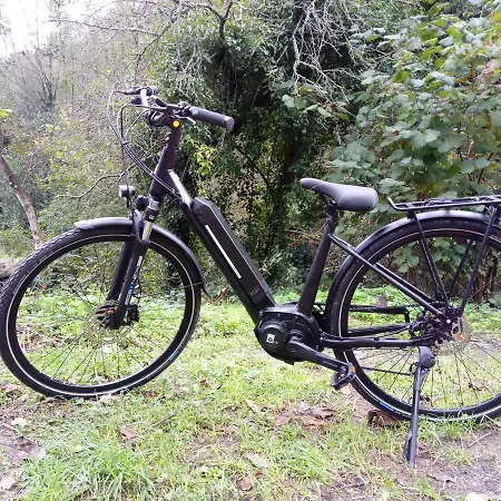 Daire Taggiasca Con Piscina - Riva Trigoso