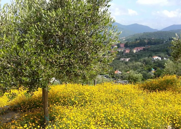 Lägenhet Taggiasca Con Piscina - Riva Trigoso *